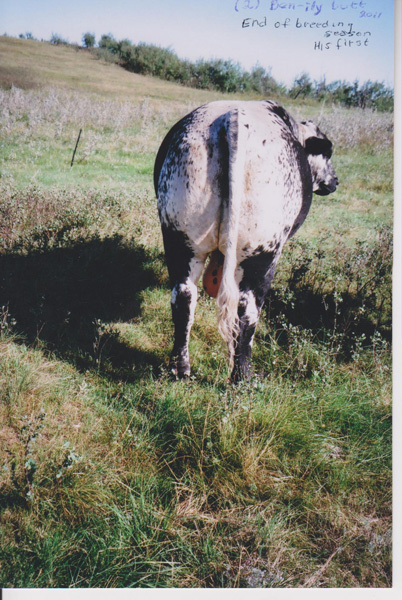 At age 2. Photo: C. Pike Photo: C. Pike